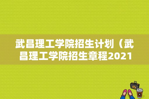 武昌理工学院招生计划（武昌理工学院招生章程2021）