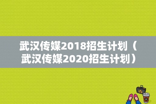 武汉传媒2018招生计划（武汉传媒2020招生计划）