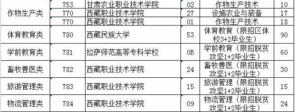 西藏教育2018招生计划（西藏教育2018招生计划表）