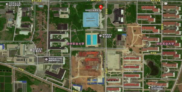 华中农业大学修建中心地址（华中农业大学的地址在哪里）