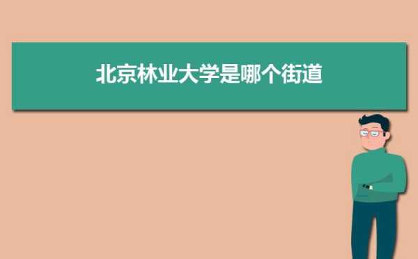 北京林业大学英语地址查询的简单介绍