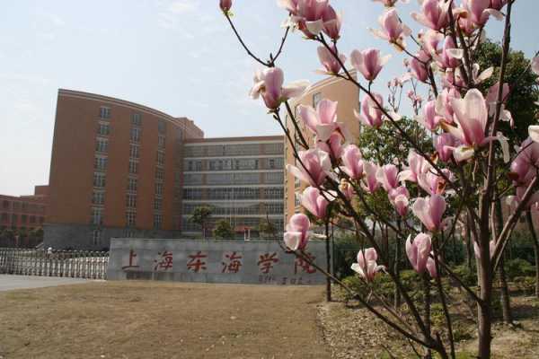 关于上海东海职业技术学院地址的信息