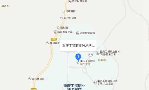 关于重庆民生职业技术学院地址的信息