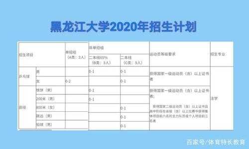 黑龙江大学历年招生计划（黑龙江大学2020年黑龙江招生计划）