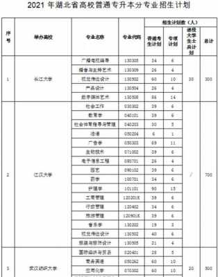 湖北省武汉招生计划（2021武汉招生）