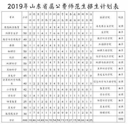 2019年山东省招生计划（2019山东报考人数）